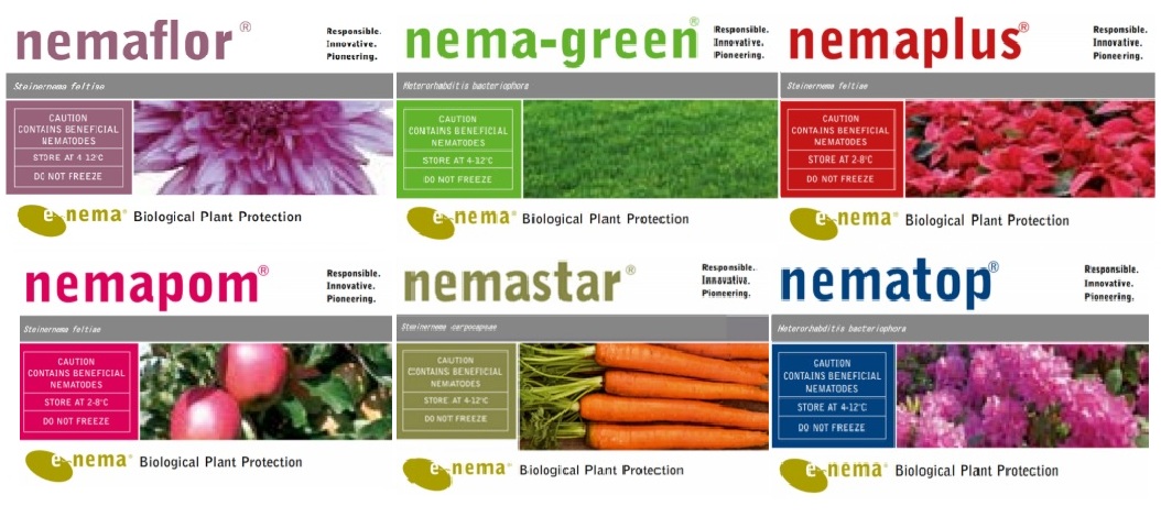 Nemátodos Entomopatogénicos E-NEMA (FITOSISTEMA)